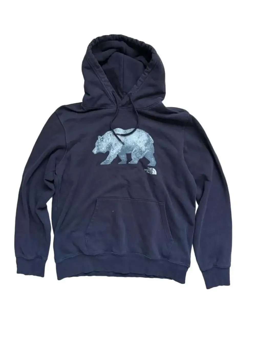 The North Face Bear Graphic Pullover Hoodie